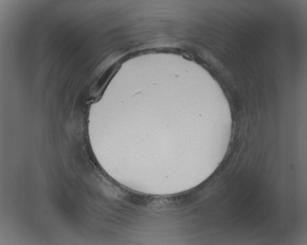 X0000080731169200701121903