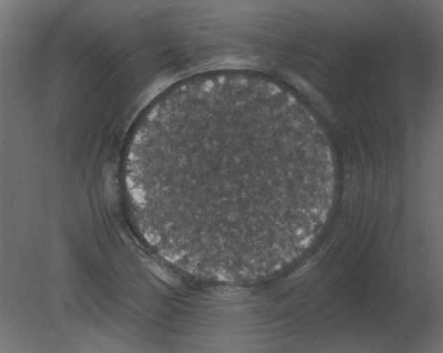 X0000080731170200701121903