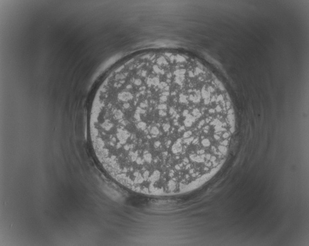 X0000080731171200701121903