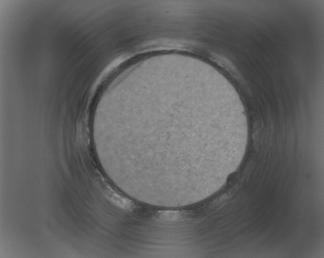 X0000080731172200701121903