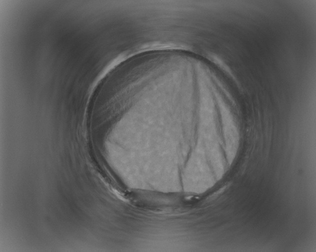 X0000080731173200701121903