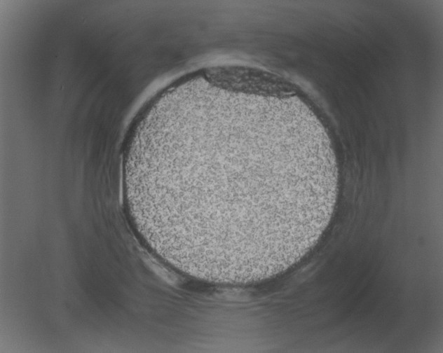 X0000080731175200701121903