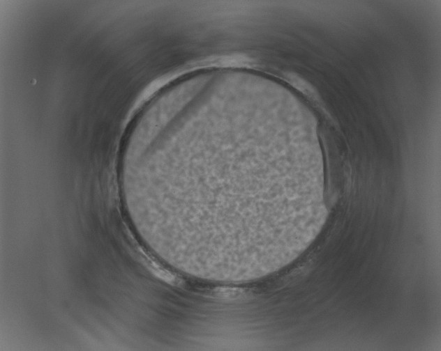 X0000080731176200701121903