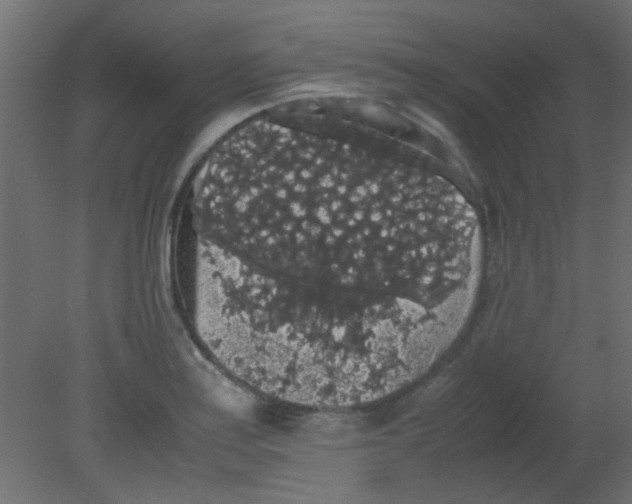 X0000080731179200701121902