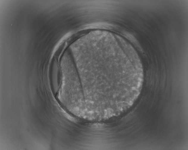 X0000080731180200701121902