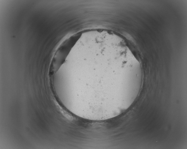 X0000080731181200701121902