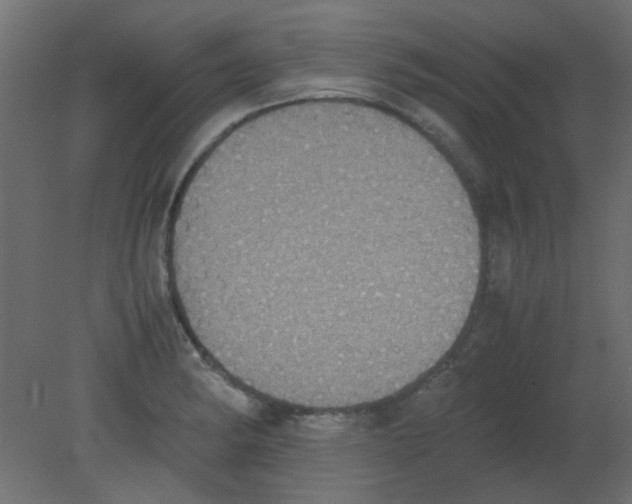 X0000080731182200701121902