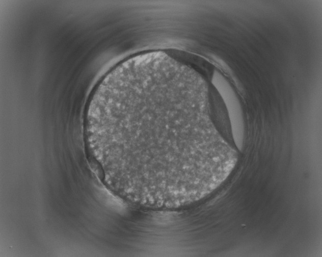 X0000080731184200701121902