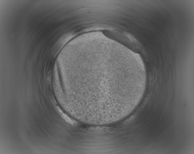 X0000080731185200701121902