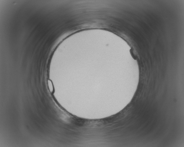 X0000080731187200701121902