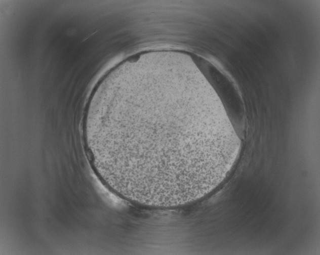 X0000080731189200701121902