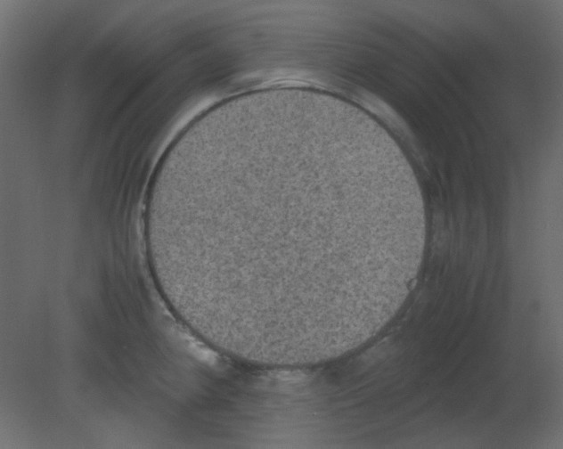 X0000080731190200701121902