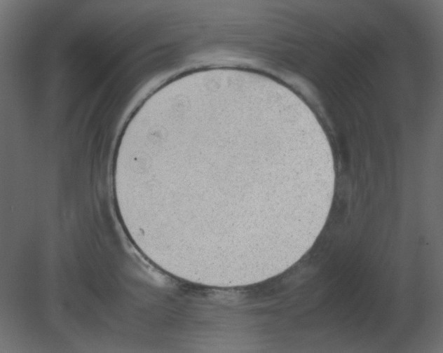 X0000080731191200701121902