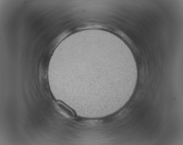 X0000080731193200701121902