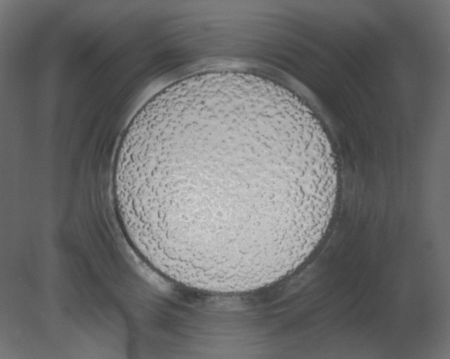 X0000080731194200701121902