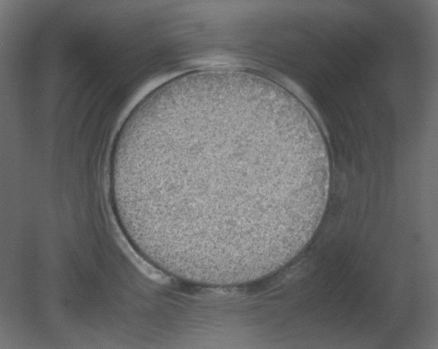 X0000080731195200701121902