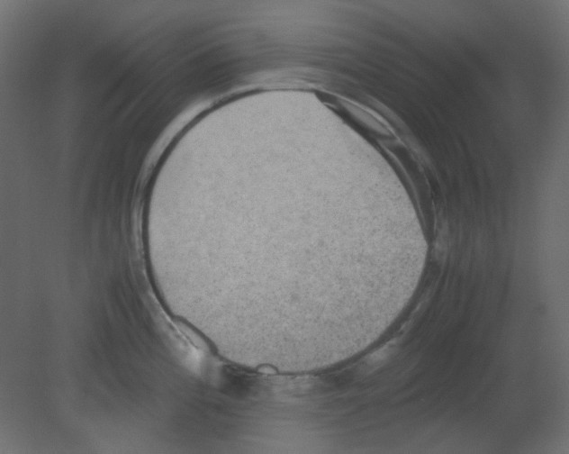 X0000080731196200701121902