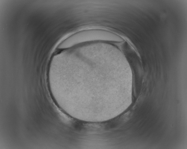 X0000080731197200701121902