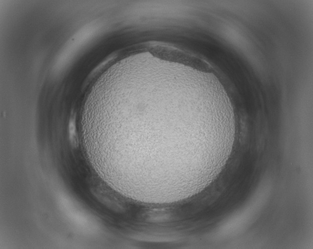 X0000080731198200701121902