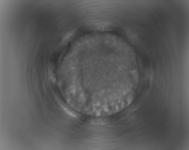 X0000080731202200701121901