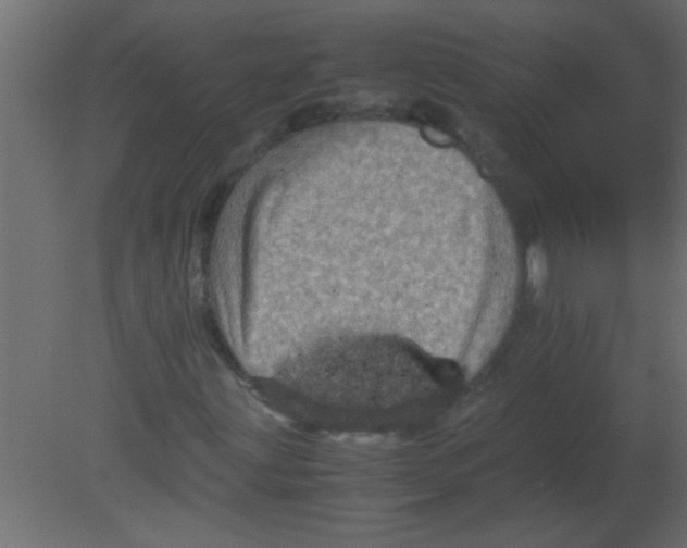 X0000080731203200701121901