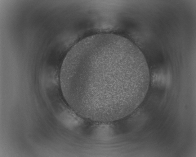 X0000080731204200701121901