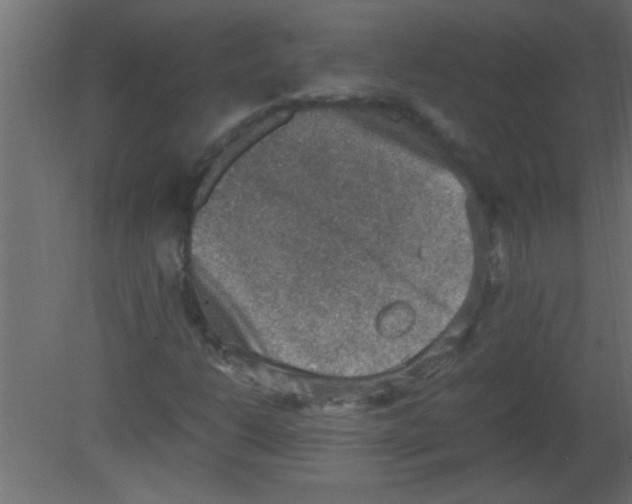 X0000080731206200701121901