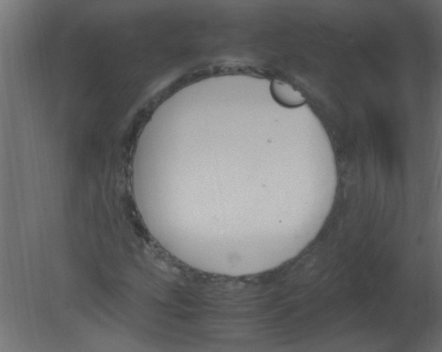 X0000080731207200701121901