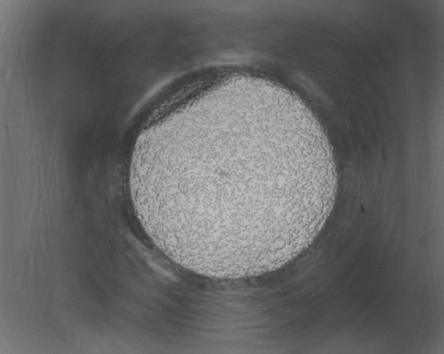 X0000080731208200701121901