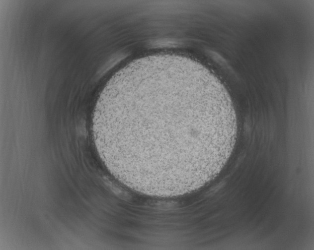 X0000080731209200701121901