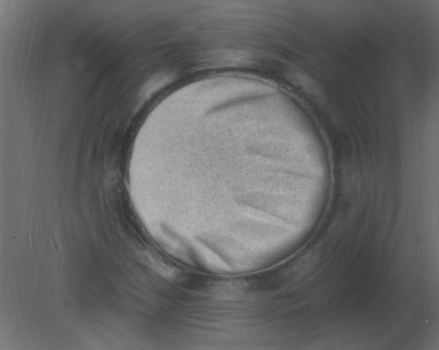 X0000080731210200701121901