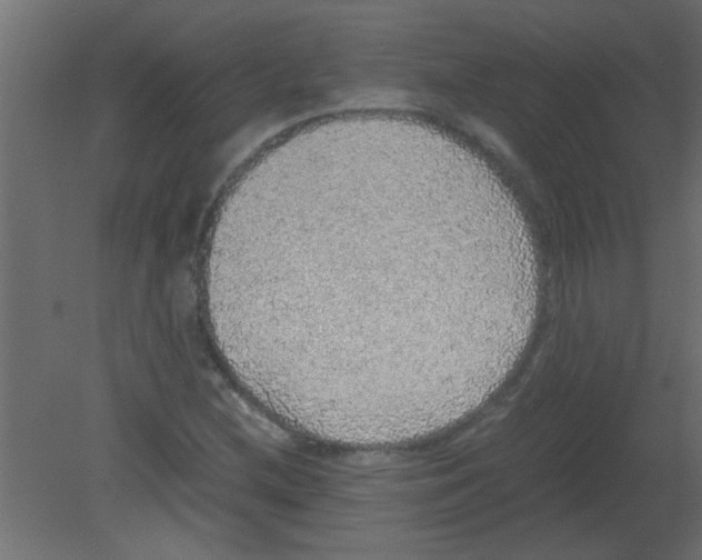 X0000080731212200701121901