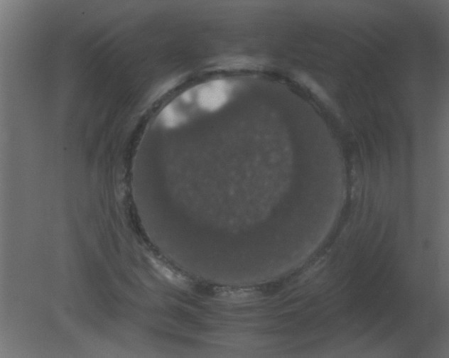 X0000080731213200701121901