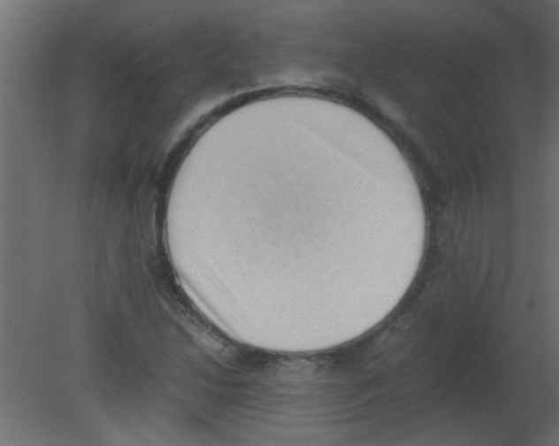 X0000080731214200701121902