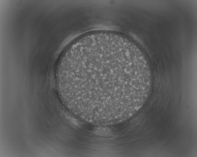 X0000080731215200701121902