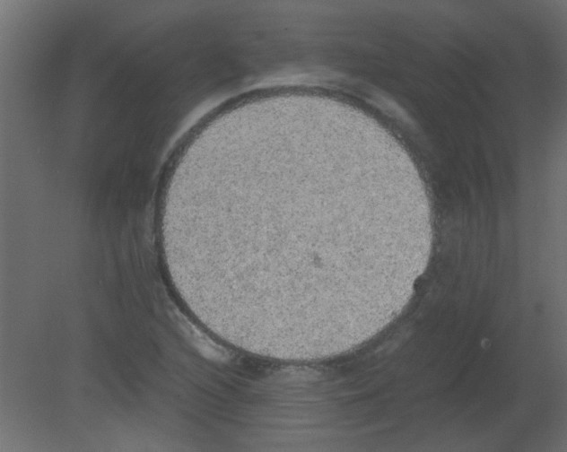 X0000080731216200701121902