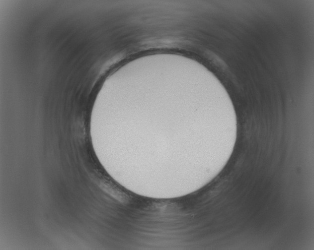 X0000080731218200701121902