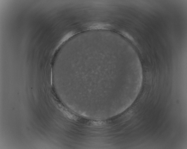 X0000080731219200701121902