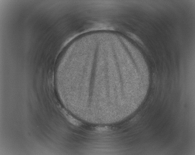 X0000080731220200701121902