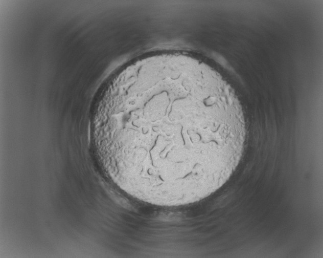 X0000080731221200701121902