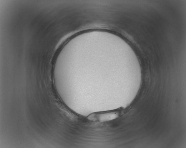 X0000080731222200701121902