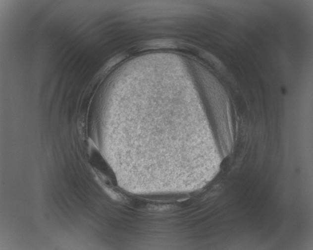 X0000080731225200701121902