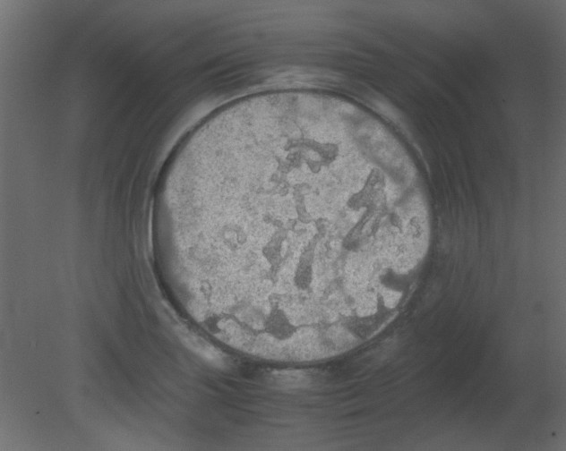 X0000080731227200701121902