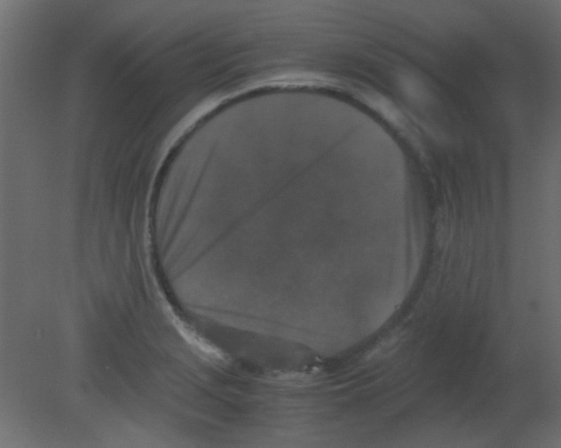 X0000080731229200701121902