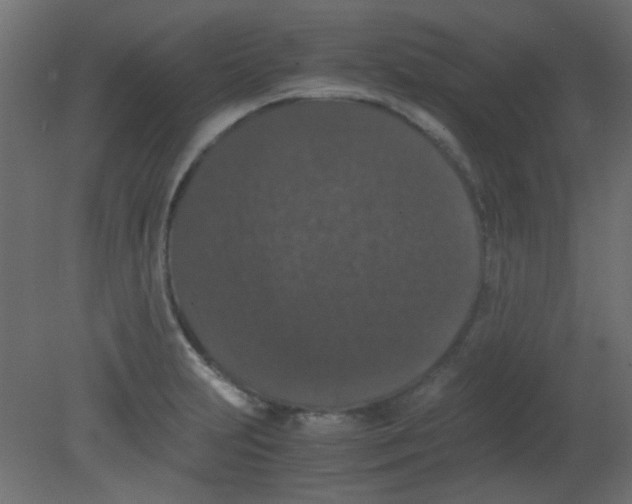 X0000080731231200701121902