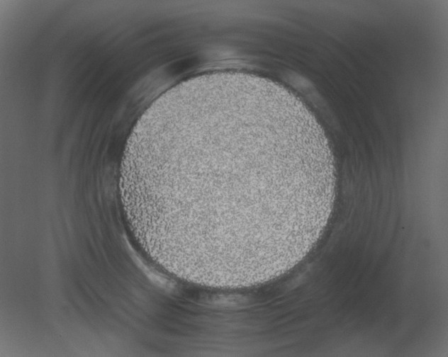 X0000080731233200701121902