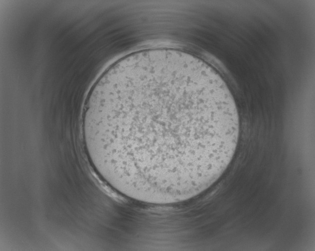 X0000080731236200701121902