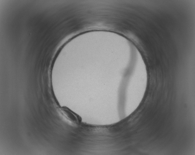 X0000080731238200701121902