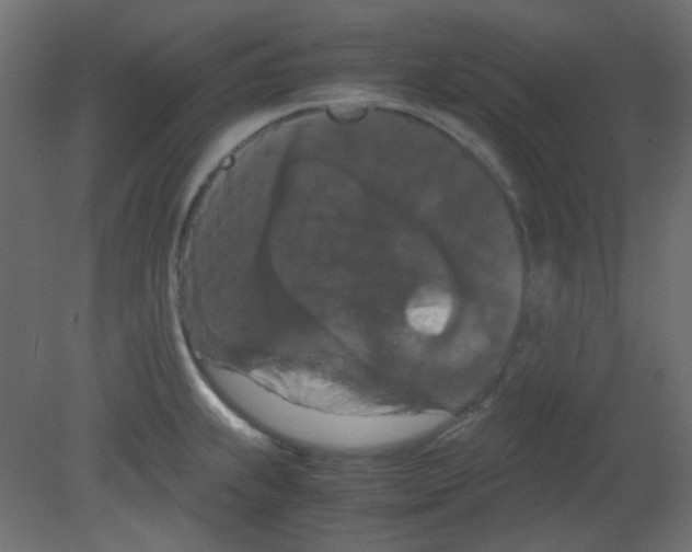 X0000080731239200701121902