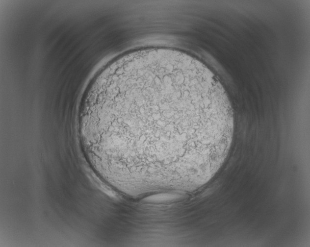 X0000080731240200701121902